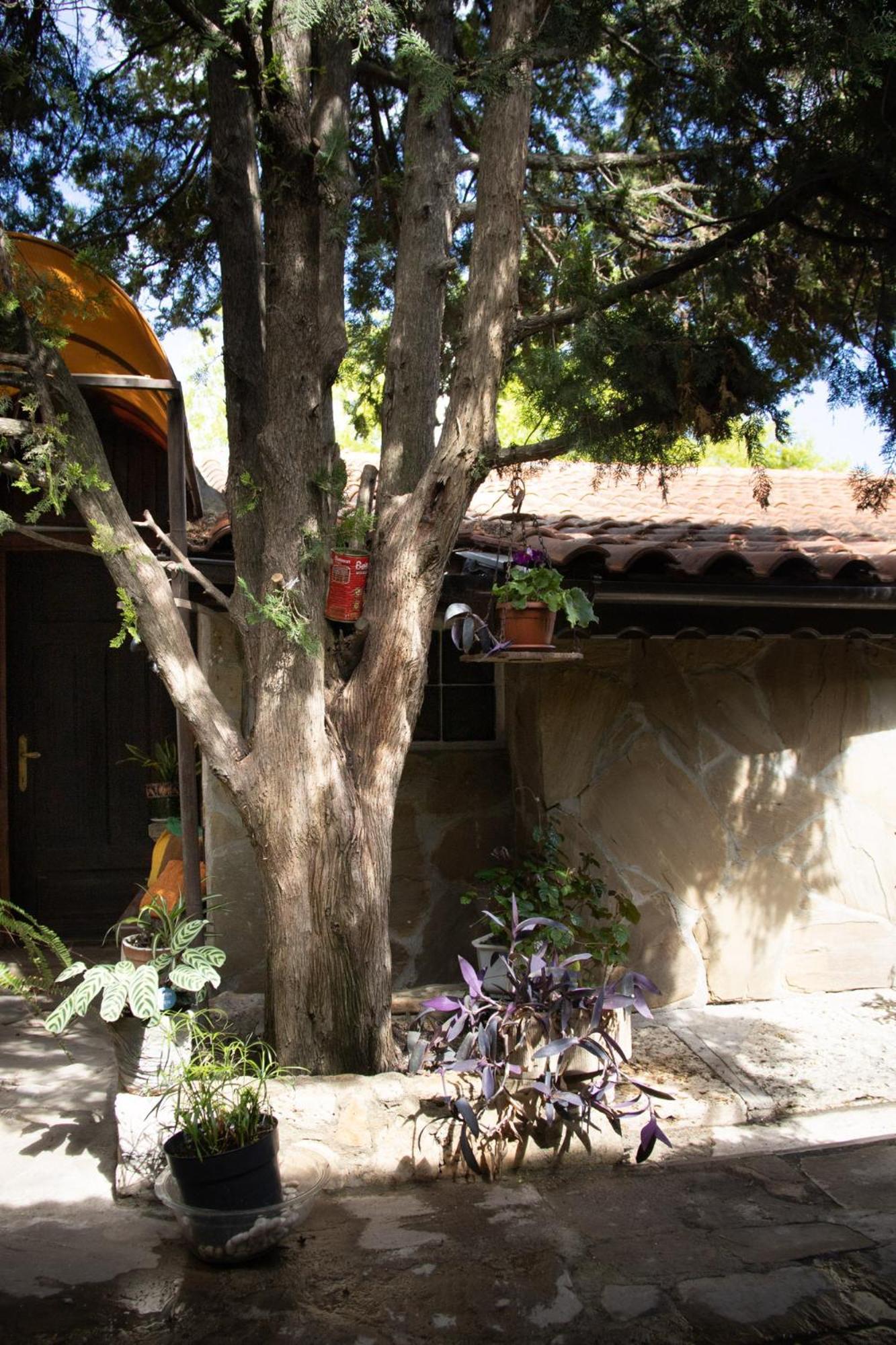 Старата Баkалия The Old Grocery, Guest Rooms بالشيك المظهر الخارجي الصورة